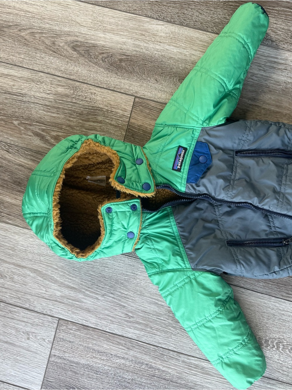 Patagonia Green and Gray Infant Hooded Puffer